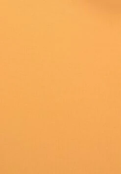 S.Oliver Highwaist-Bikini-Hose »Rome«, Mit Abnehmbarem Gürtel -Sunseeker Bikinis Geschaft 3104da044b723616f725f0360e642e64