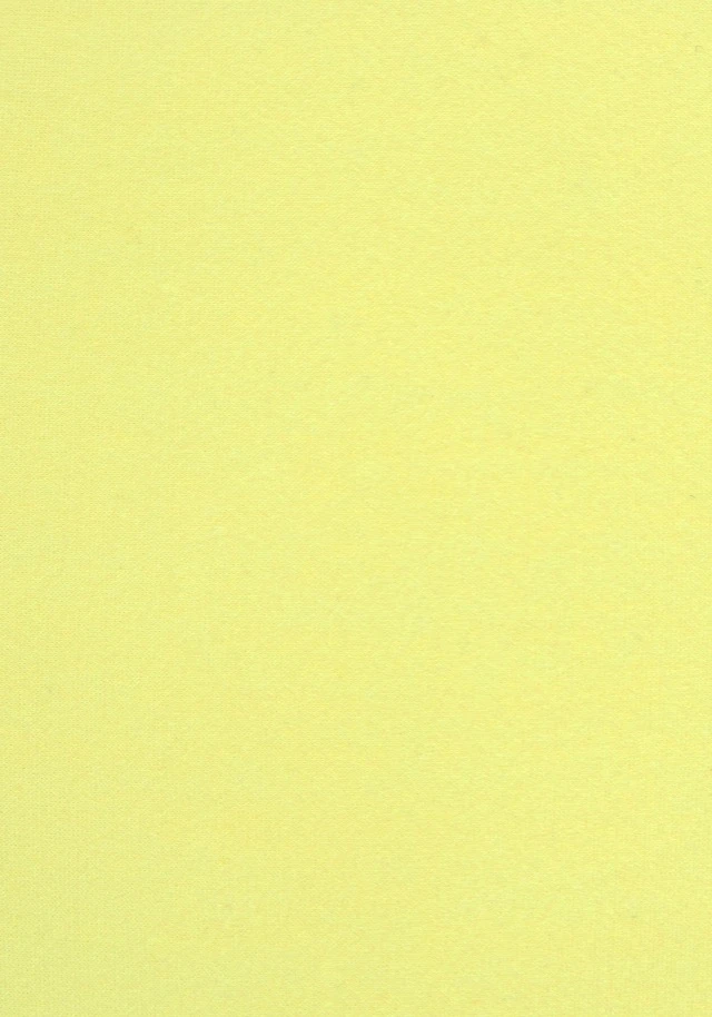 Venice Beach Bikini-Hose »L.A.«, Mit Kontrastpiping 10 Venice Beach Bikini-Hose »L.A.«, Mit Kontrastpiping – Bild 8