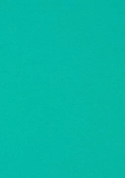 Venice Beach Bikini-Hose »L.A.«, Mit Kontrastpiping 13 Venice Beach Bikini-Hose »L.A.«, Mit Kontrastpiping -Sunseeker Bikinis Geschaft 948bd477617cca1292929291ea952696