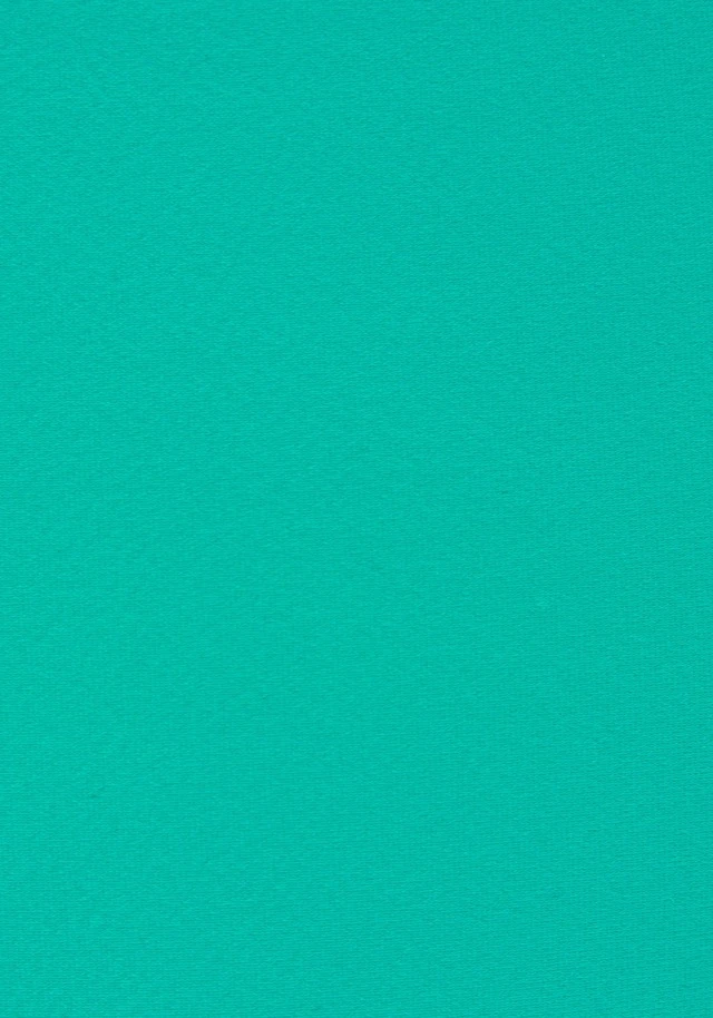 Venice Beach Bikini-Hose »L.A.«, Mit Kontrastpiping 6 Venice Beach Bikini-Hose »L.A.«, Mit Kontrastpiping – Bild 4