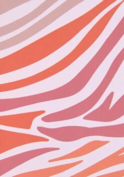 Sunseeker Bikini-Hose »Amari«, Seitlich Regulierbar -Sunseeker Bikinis Geschaft 0c1beb00091e95665907b8d810f985a8