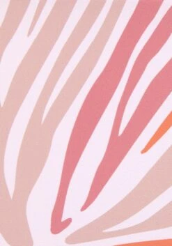 Sunseeker Bikini-Hose »Amari«, Mit Sommerlichem Animalprint -Sunseeker Bikinis Geschaft 2d080d9a2bf41f65451200dbf4373901