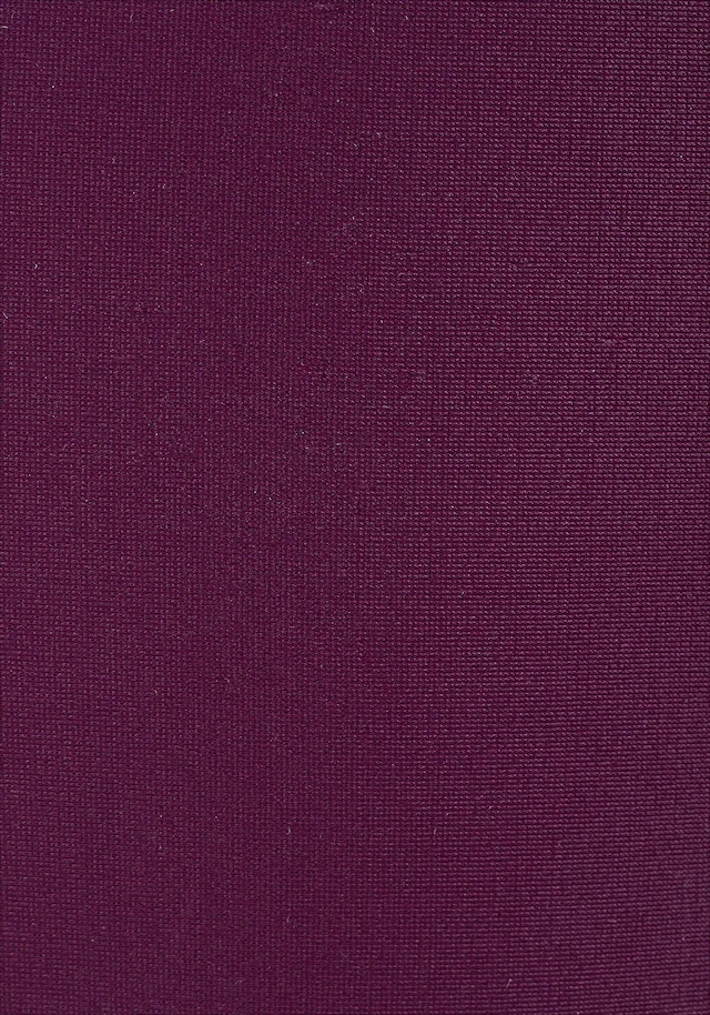 Buffalo Push-Up-Bikini, Mit Geflochtenem Rückendetail 19 Buffalo Push-Up-Bikini, Mit Geflochtenem Rückendetail – Bild 17