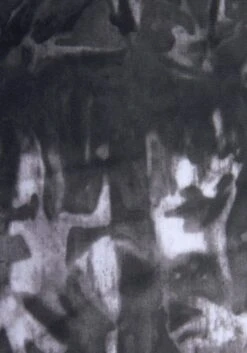 Venice Beach Badeanzug »Luna«, Seitlich Zu Raffen 19 Venice Beach Badeanzug »Luna«, Seitlich Zu Raffen -Sunseeker Bikinis Geschaft 8ab0ada47fd624901e2cb3b366b782ba