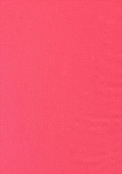 Buffalo Push-Up-Bikini, Mit Geflochtenem Rückendetail 29 Buffalo Push-Up-Bikini, Mit Geflochtenem Rückendetail -Sunseeker Bikinis Geschaft 9467fa955f5dad5c6f5b10d3713d23d8