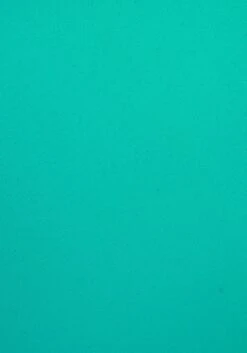 Venice Beach Push-Up-Bikini-Top »L.A.«, Mit Kontrastpiping 13 Venice Beach Push-Up-Bikini-Top »L.A.«, Mit Kontrastpiping -Sunseeker Bikinis Geschaft aebd4ba88dca4646fdcfe6534aa38686