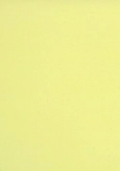 Venice Beach Bikini-Hose »L.A.«, In Knapper Brasilien-Form Und Kontrastpiping 22 Venice Beach Bikini-Hose »L.A.«, In Knapper Brasilien-Form Und Kontrastpiping -Sunseeker Bikinis Geschaft c37a3210f8e98125cb64af25a8d7647c