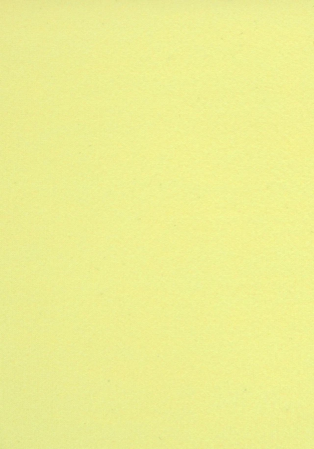 Venice Beach Bikini-Hose »L.A.«, In Knapper Brasilien-Form Und Kontrastpiping 12 Venice Beach Bikini-Hose »L.A.«, In Knapper Brasilien-Form Und Kontrastpiping – Bild 10