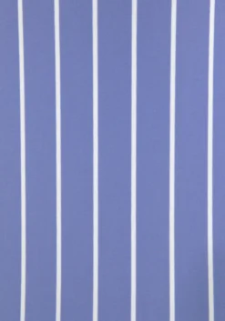 Vivance Badeanzug, Mit Nadelstreifen -Sunseeker Bikinis Geschaft c98413028bd0db79eb26538c39cc7c55