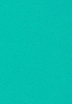 Venice Beach Bikini-Hose »L.A.«, In Knapper Brasilien-Form Und Kontrastpiping 17 Venice Beach Bikini-Hose »L.A.«, In Knapper Brasilien-Form Und Kontrastpiping -Sunseeker Bikinis Geschaft d3e1b1992c01746f78a0d457ce92d4ec